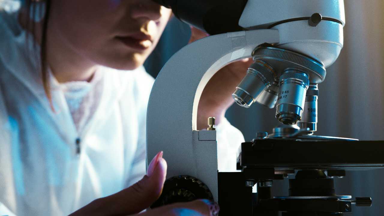 IRS Examine R&D Tax Credit